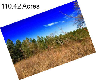 110.42 Acres