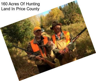 160 Acres Of Hunting Land In Price County