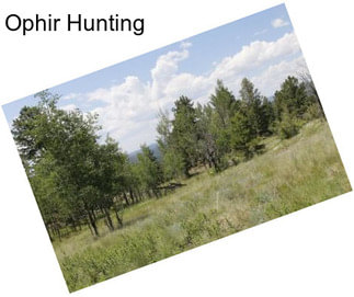 Ophir Hunting