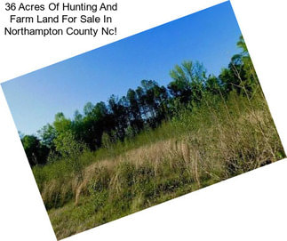 36 Acres Of Hunting And Farm Land For Sale In Northampton County Nc!