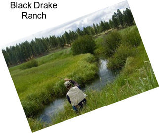 Black Drake Ranch