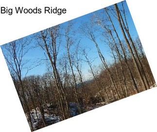 Big Woods Ridge