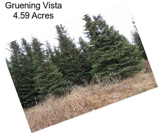 Gruening Vista 4.59 Acres