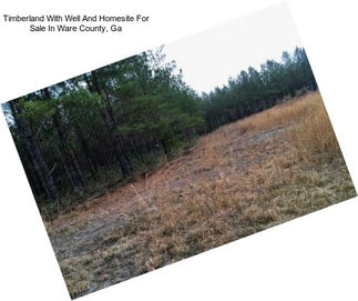 Timberland With Well And Homesite For Sale In Ware County, Ga