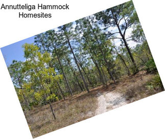 Annutteliga Hammock Homesites