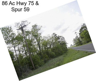 86 Ac Hwy 75 & Spur 59