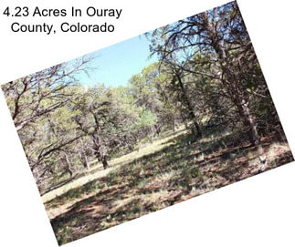 4.23 Acres In Ouray County, Colorado