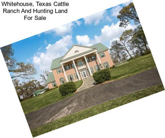 Whitehouse, Texas Cattle Ranch And Hunting Land For Sale