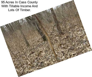 95 Acres In Cass County With Tillable Income And Lots Of Timber.