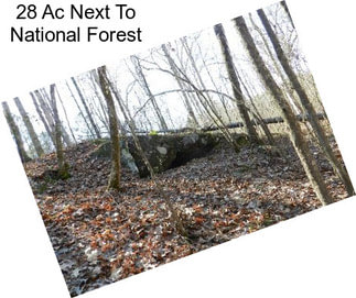 28 Ac Next To National Forest