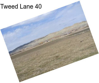 Tweed Lane 40