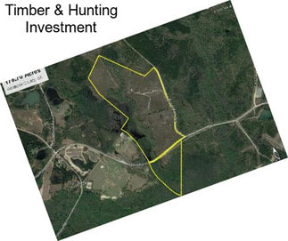 Timber & Hunting Investment