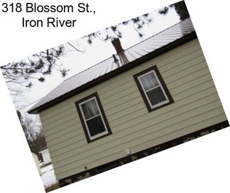 318 Blossom St., Iron River