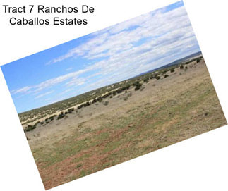 Tract 7 Ranchos De Caballos Estates