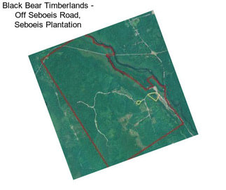 Black Bear Timberlands - Off Seboeis Road, Seboeis Plantation