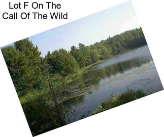 Lot F On The Call Of The Wild