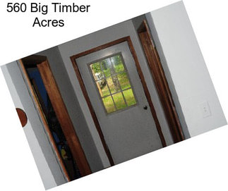 560 Big Timber Acres