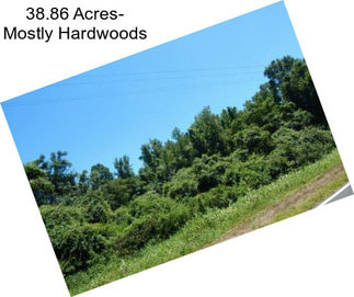 38.86 Acres- Mostly Hardwoods