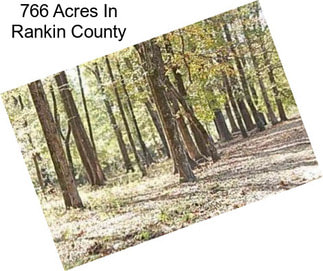 766 Acres In Rankin County