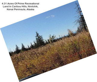 4.31 Acres Of Prime Recreational Land In Caribou Hills, Ninilchik, Kenai Peninsula, Alaska