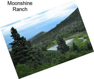 Moonshine Ranch