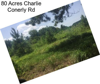 80 Acres Charlie Conerly Rd