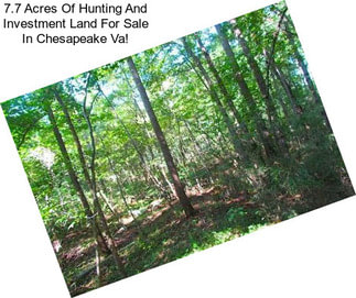 7.7 Acres Of Hunting And Investment Land For Sale In Chesapeake Va!