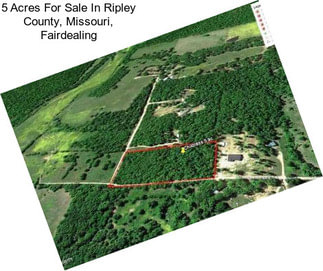 5 Acres For Sale In Ripley County, Missouri, Fairdealing
