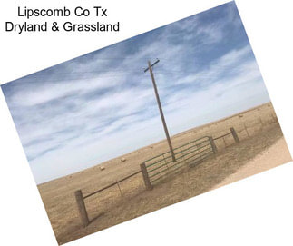 Lipscomb Co Tx Dryland & Grassland