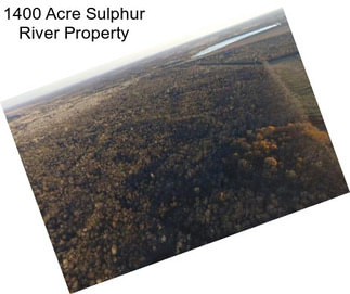 1400 Acre Sulphur River Property
