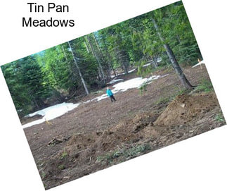 Tin Pan Meadows
