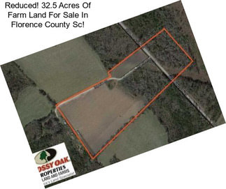 Reduced! 32.5 Acres Of Farm Land For Sale In Florence County Sc!