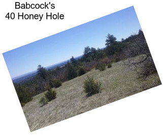 Babcock\'s 40 Honey Hole