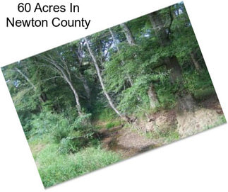 60 Acres In Newton County