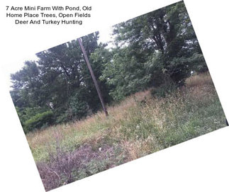 7 Acre Mini Farm With Pond, Old Home Place Trees, Open Fields Deer And Turkey Hunting