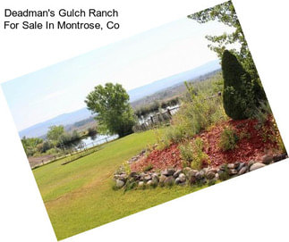 Deadman\'s Gulch Ranch For Sale In Montrose, Co