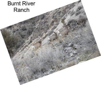 Burnt River Ranch