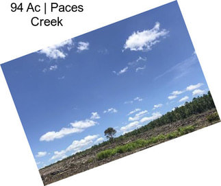 94 Ac | Paces Creek