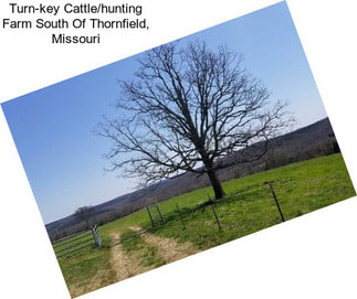 Turn-key Cattle/hunting Farm South Of Thornfield, Missouri