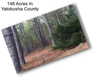 148 Acres In Yalobusha County