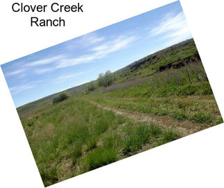 Clover Creek Ranch