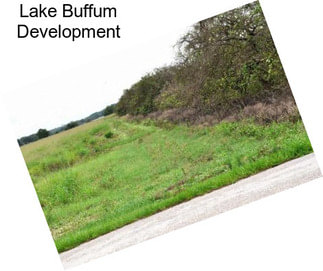 Lake Buffum Development