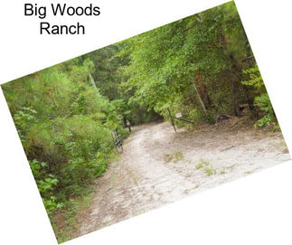 Big Woods Ranch