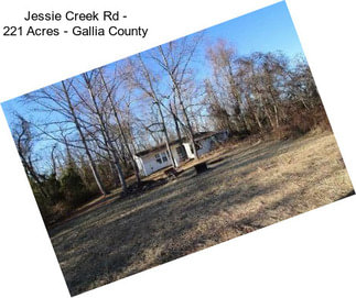 Jessie Creek Rd - 221 Acres - Gallia County