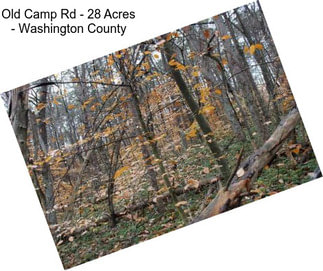 Old Camp Rd - 28 Acres - Washington County
