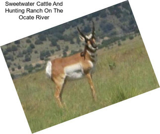 Sweetwater Cattle And Hunting Ranch On The Ocate River