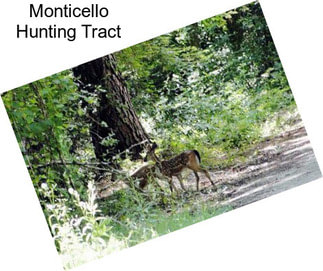 Monticello Hunting Tract