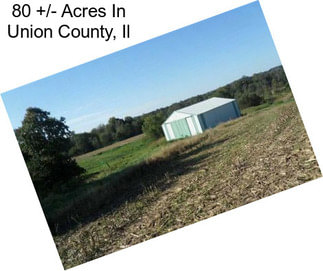 80 +/- Acres In Union County, Il