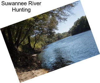 Suwannee River Hunting