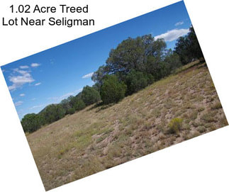 1.02 Acre Treed Lot Near Seligman